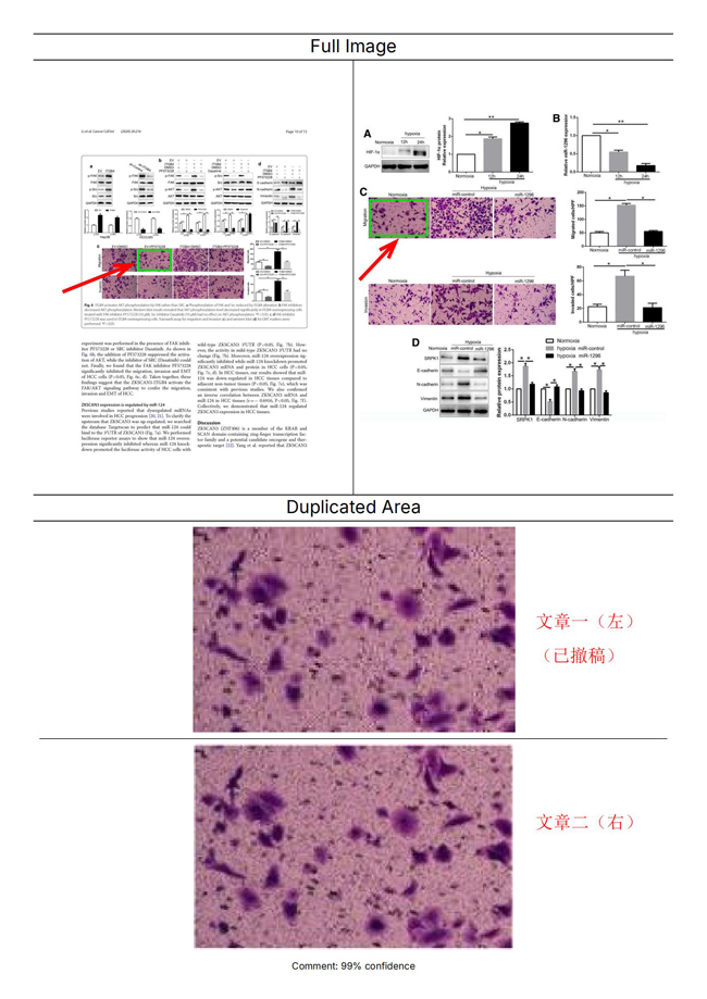 ImageTwin 检测报告示例